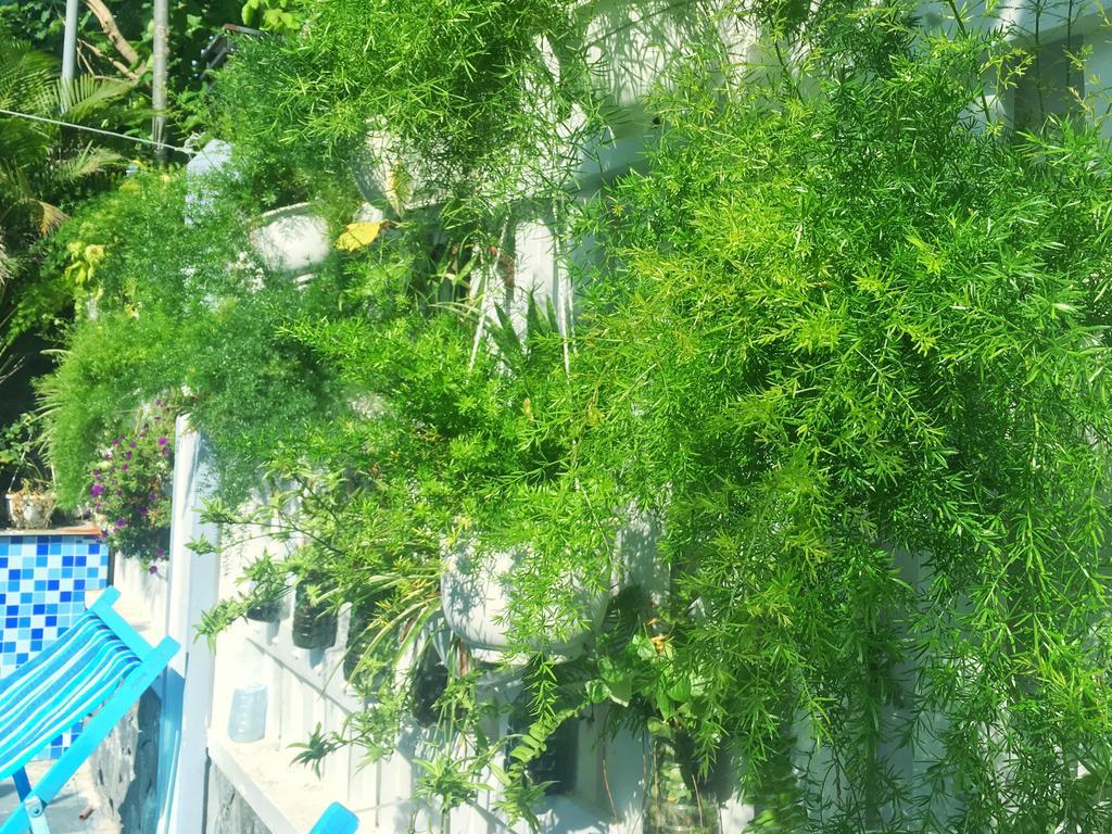 Fusion Villa Хоян Екстер'єр фото